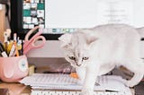 Modern TDD with Python in 2025 — Step-by-Step, with AI at Your Side [part 1/10]