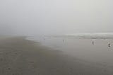 Misty Morning