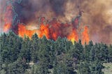 Yapay Zeka Sayesinde Orman Yangınları Nasıl Önlenebilir?