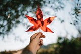 This Isn’t Just Another Election, Canada