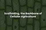 Scaffolding, the Backbone of Cellular Agriculture