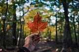 A Letter From A Canadian