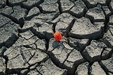 Four Big Ideas for a More Resilient Life