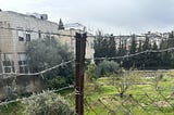 What I Witnessed in the Holy Land