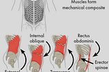 My back pain, and the “Back Mechanics” book summary