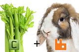 ERP Tech Talk #10: Odoo Celery Basic Implementation