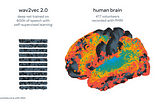 Un réseau de neurones capable de comprendre le cerveau humain