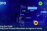 Escaping the Cold: Migrating from Frozen Mountain to Agora in Unity