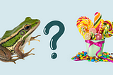 Team Frog or Team Candy?