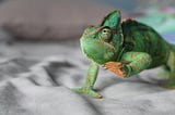 How Chameleon Text Ensures Legibility
