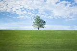 Building a simple Merkle tree class in Python