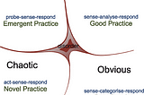 Utilizing the Cynefin Framework Within a Healthcare Setting