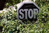 A neighborhood STOP sign peeks out of greenery that’s grown around it.