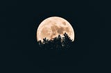 Moving Night