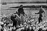 When Synthetizing Nitrogen Saved the Seabirds