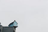 A blue concrete storey house on top of building at daytime