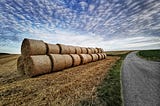 image of hay bales beside a road — as suggested by unsplash when I typed in role. why not
