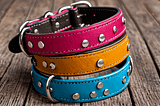 Unique-Dog-Collars-1