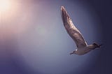 Crypto space is spreading the wings