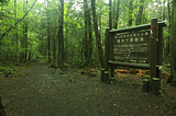 Japan’s Forest, Aokigahara