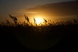 What It’s Like Living In Oklahoma & How Sundown Towns Still Exist