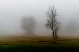 Melancholia