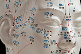 3D acupuncture model on human body