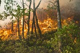 Does Fire Management Benefit Low-Income Communities?