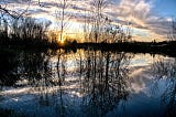 A photo of a sunset in Bergerac, by Pombonne’s lake. There are trees and they reflect in the water.