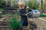 Little boy watering a garden