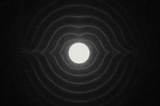 Light Is What Remains