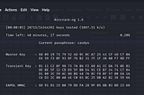 Crack Wi-Fi Networks With Kali