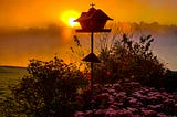 A bird hut silhouette on a flower bed with bright orange sunset behind.