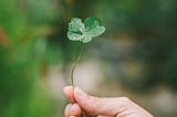 SPRING 2025: Abundance Energetics