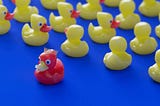 A group of yellow rubber ducks face a similar direction while a red rubber duck with a little gold crown faces the opposite direction all alone. The rubber ducks are all placed on a royal blue tablecloth, with the photo taken from a slanted angle in the upper righthand direction.