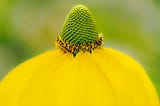 Apache Ant Cheatsheet