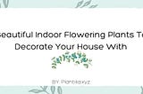 Indoor Flowering Plants You Need To Check Now, Plantilia