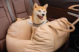 dog-car-seat-bed-first-class-khaki-two-seat-1