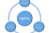 What agility for an organization?