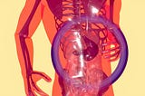 How Your Microbiome Shapes Your Health