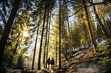 Two individuals hiking in nature with backpacks surrounded by trees and sunlight upon them.