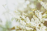 The Silver Lining of Grief