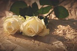 Help For The Broken Hearted