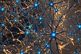 Neural Plasticity: How Your Brain Learns, Adapts, and Thrives