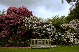 An empty garden bench as a hook for the text. My dad used to sit on it, now it’s empty.