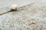 The Path on the Other Side of Adversity