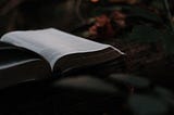 The 6 points checklist of a productive and passionate learner