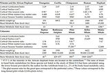 Dolphins’ Cognitive Abilities