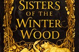 The Sisters of the Winter Wood by Rena Rossner