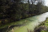 River pollution: ‘Muck Map’ reveals which parts have a manure problem